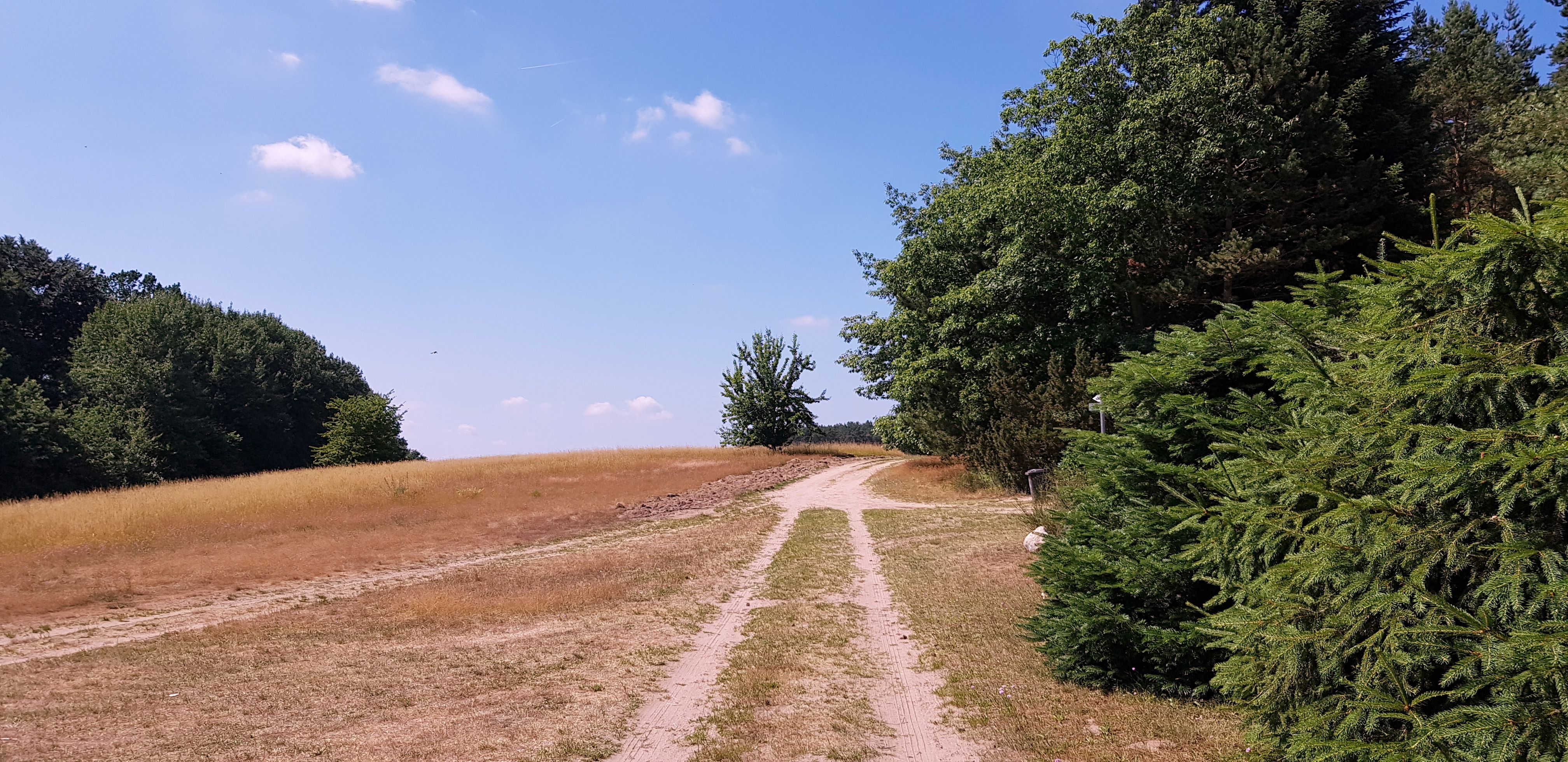 Der Privatweg zum See